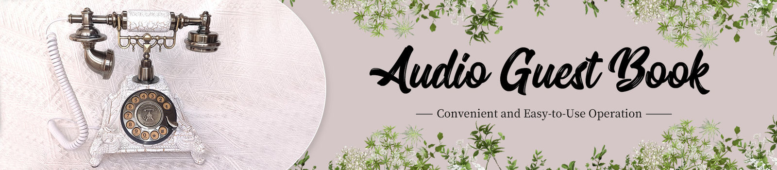 Livre d'invités audio