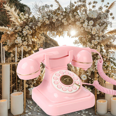 Son clair Audio Livre d'invité de mariage Messagerie vocale rose Pour recueillir les souhaits des invités