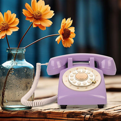 Le livre d'invités audio est un téléphone unique.