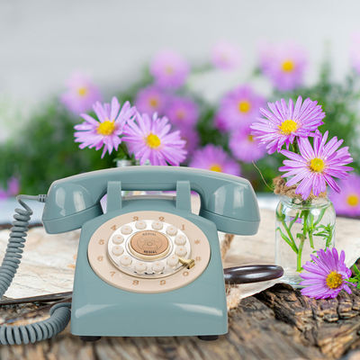 Audio Livre d'invité téléphone de mariage parfait pour votre grand jour